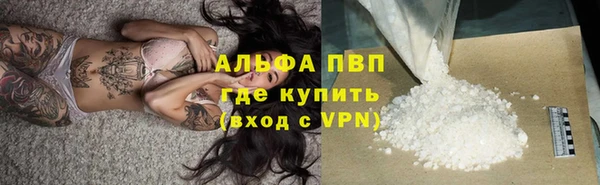 гашик Алексин