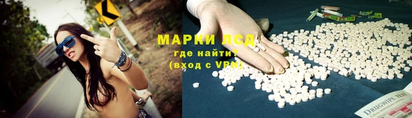 гашик Алексин