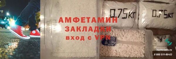 гашик Алексин