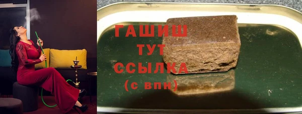 гашик Алексин