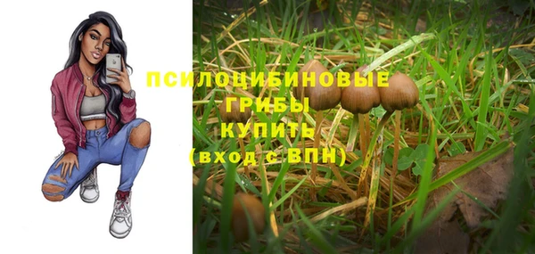 гашик Алексин