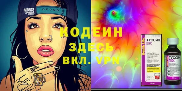 гашик Алексин