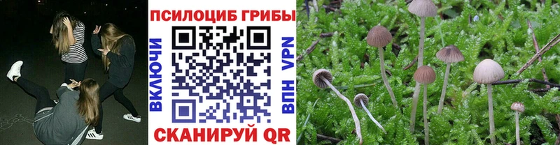 Псилоцибиновые грибы Cubensis  купить   это Telegram  Камызяк 